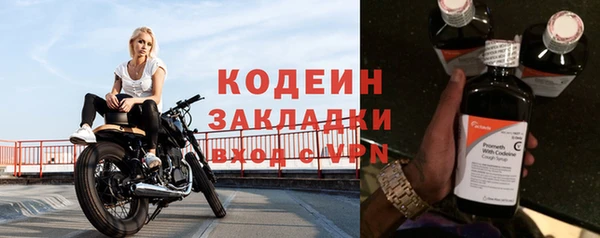 крисы Бородино