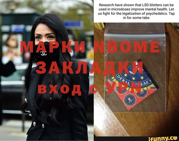 крисы Бородино