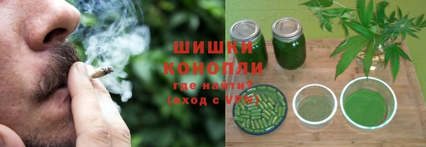 крисы Бородино