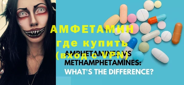 крисы Бородино