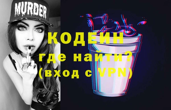 крисы Бородино