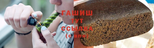 крисы Бородино